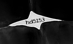 hd5153